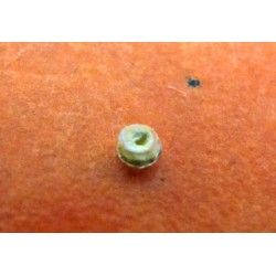 VINTAGE ROLEX TRITIUM PERLE PLOT 5513-5512-1680-1665 