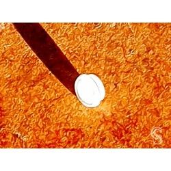 ROLEX ORIGINAL YELLOW~CREAMY TONS TRITiUM INSERT PEARL DOT 5513, 5512, 1680, 1665, 5508, 5510, 6538 WATCH VINTAGE PART