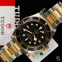 Tudor Authentique Bracelet or Acier 22mm Ref 72063 Montres Black Bay HERITAGE M79733N, Chronograph 79363N