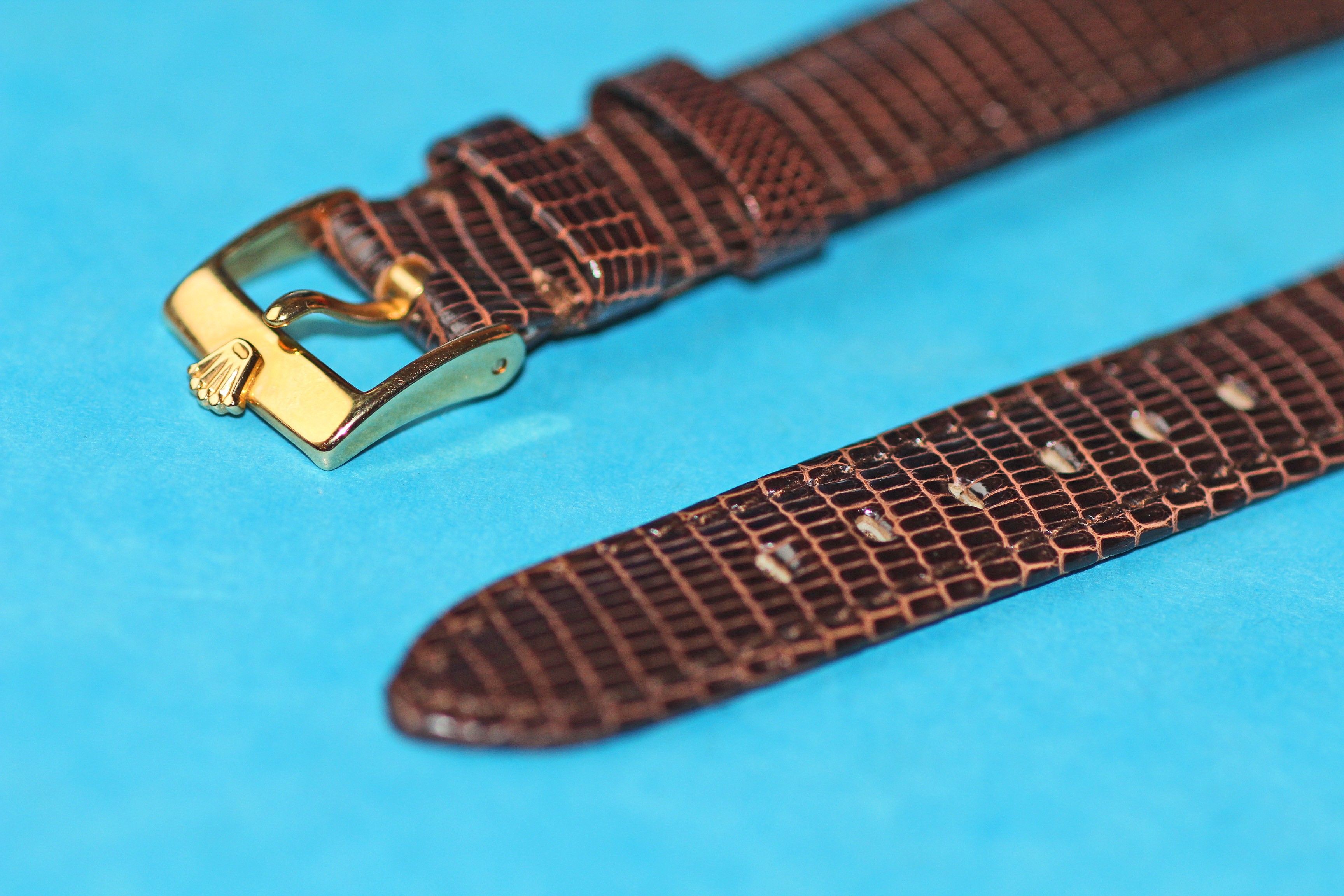 rolex lizard strap