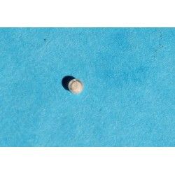 ☆★ ROLEX GENUINE VANILLA TRITIUM INSERT PEARL DOT 5513, 5512, 1680, 1665, 5508, 5510, 6538 RARE VINTAGE PART ☆★