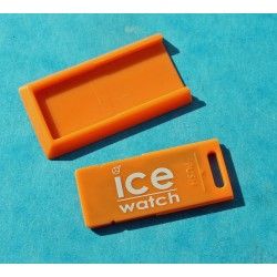 USB Key flash drive ICE WATCHES 4GB