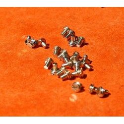 Genuine Rolex spares watches Ref 166 Bridle Screws for Auto Caliber 3055 president Day Date 