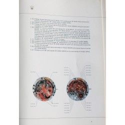 Rolex information technique Fourniture & outils horlogers pièces de rechange montres calibres 3035, 3175, 4130, 3135, 3055, 2035