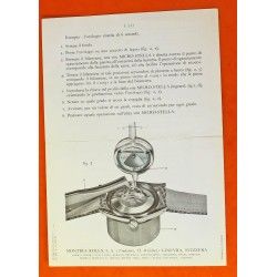 VINTAGE 1960 ROLEX MICROSTELLA LIVRET BROCHURE AUTHENTIQUE